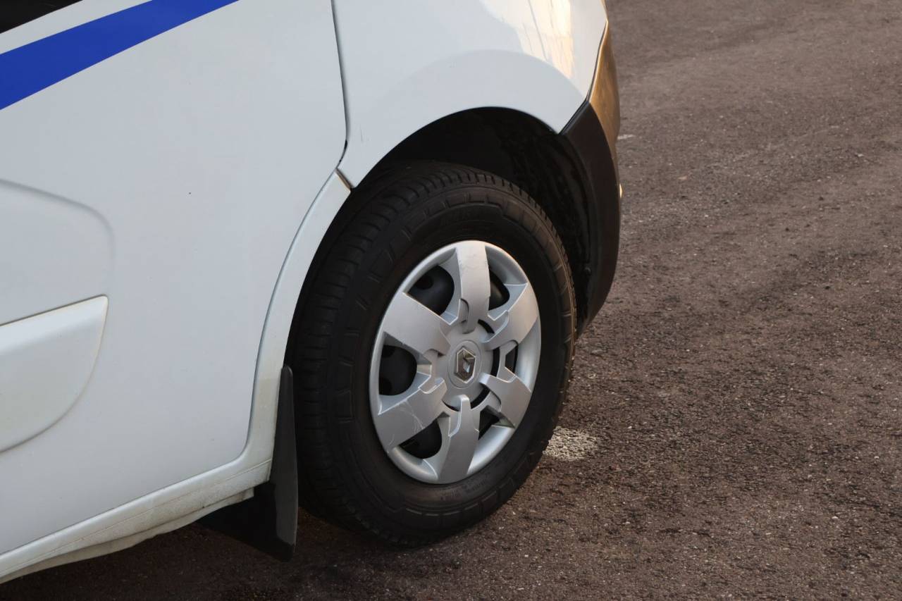 Horsebox HGV MTM FILOVAN MASTER  2018 Used