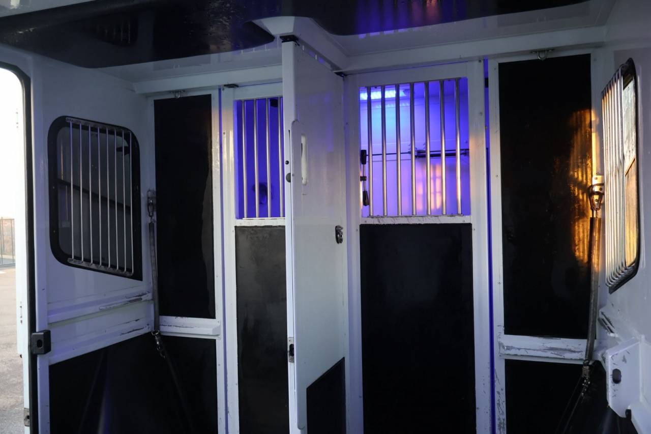 Horsebox HGV MTM FILOVAN MASTER  2018 Used