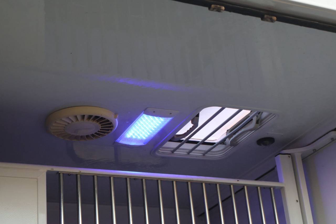 Horsebox HGV MTM FILOVAN MASTER  2018 Used