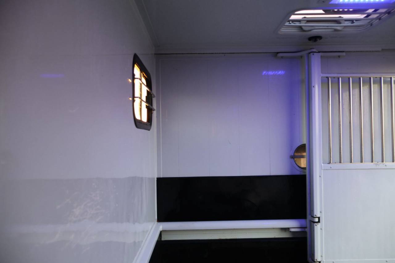 Horsebox HGV MTM FILOVAN MASTER  2018 Used