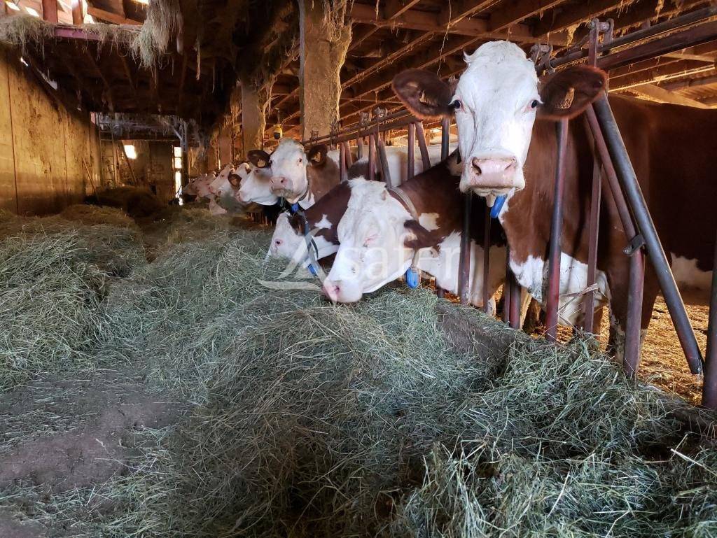 Other agricultural property  Jura