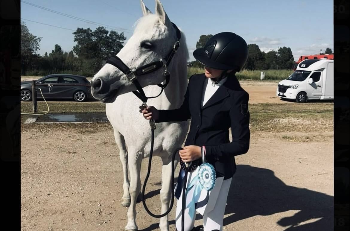 Mare Connemara For sale 2011 Grey