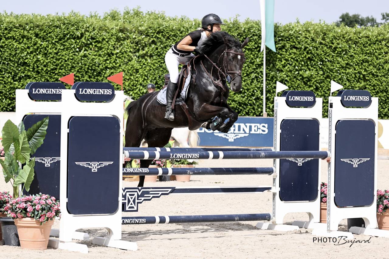 Mare Selle Fran&ccedil;ais For sale 2016 Black