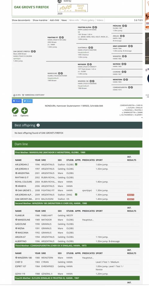 Mare Selle Fran&ccedil;ais For sale 2020 Chesnut