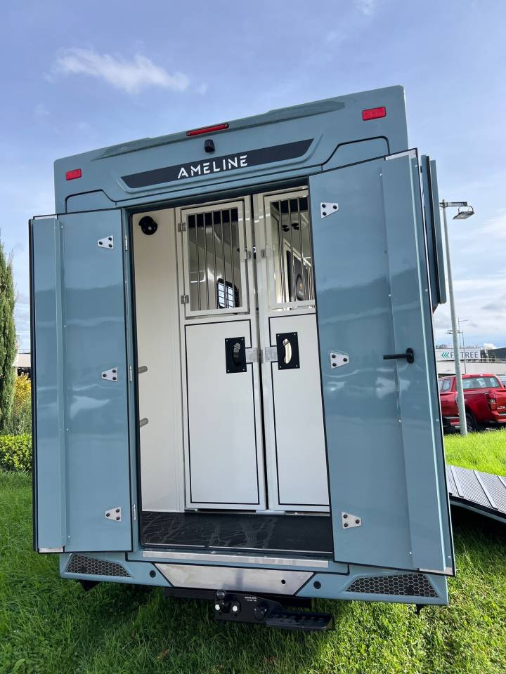 Horsebox HGV Ameline HARAS  2025 New