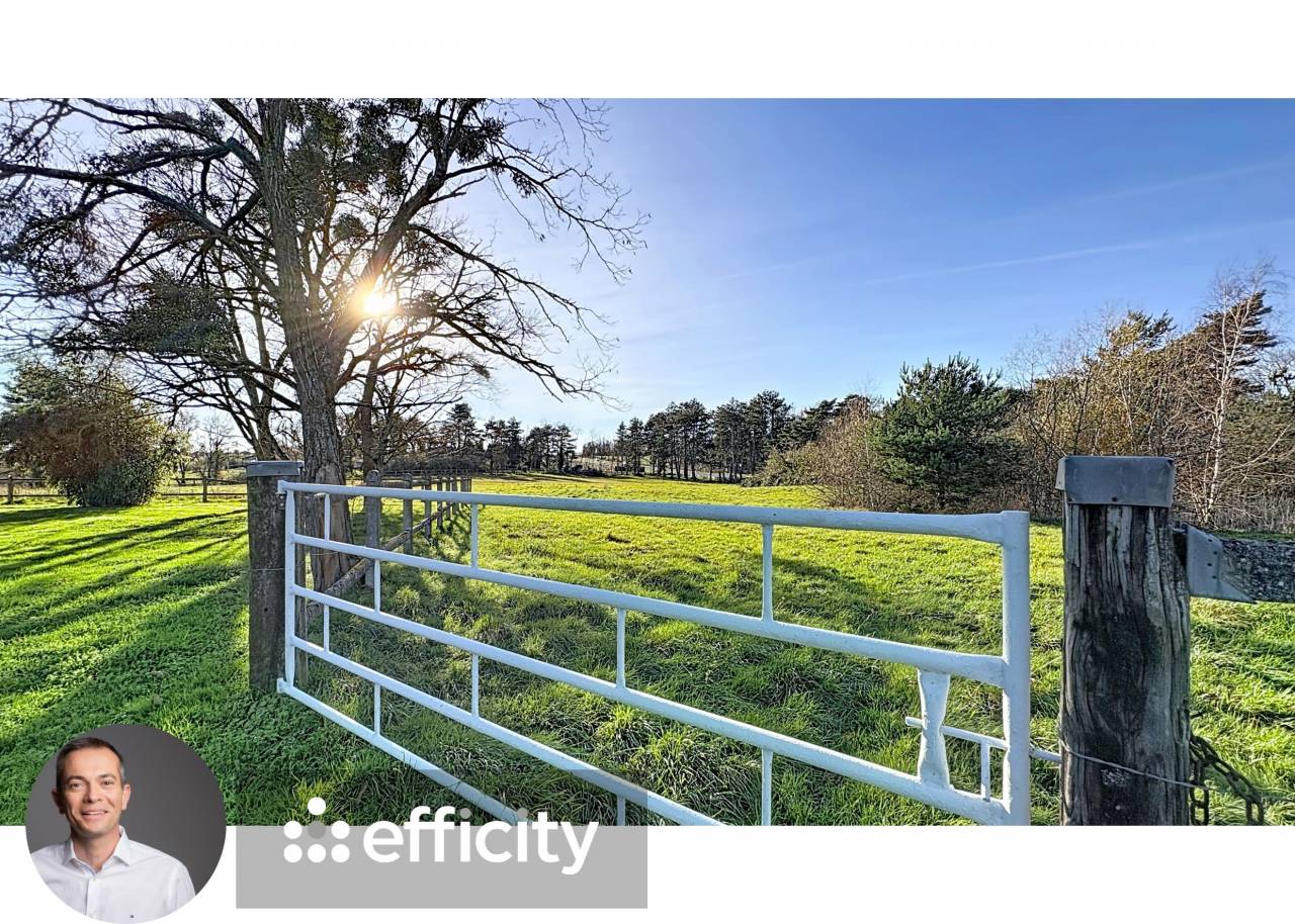 Luxurious equestrian property  Allier