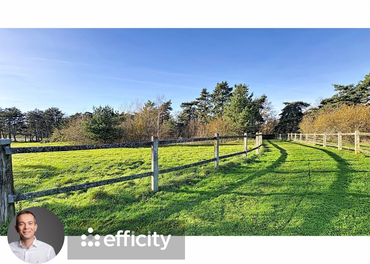 Luxurious equestrian property  Allier