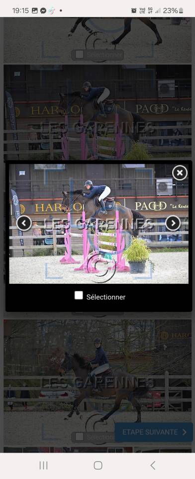 Mare Selle Fran&ccedil;ais For sale 2020 Bay