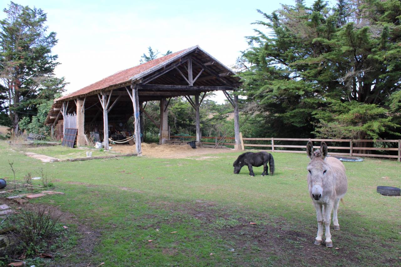 Equestrian farm  Gers
