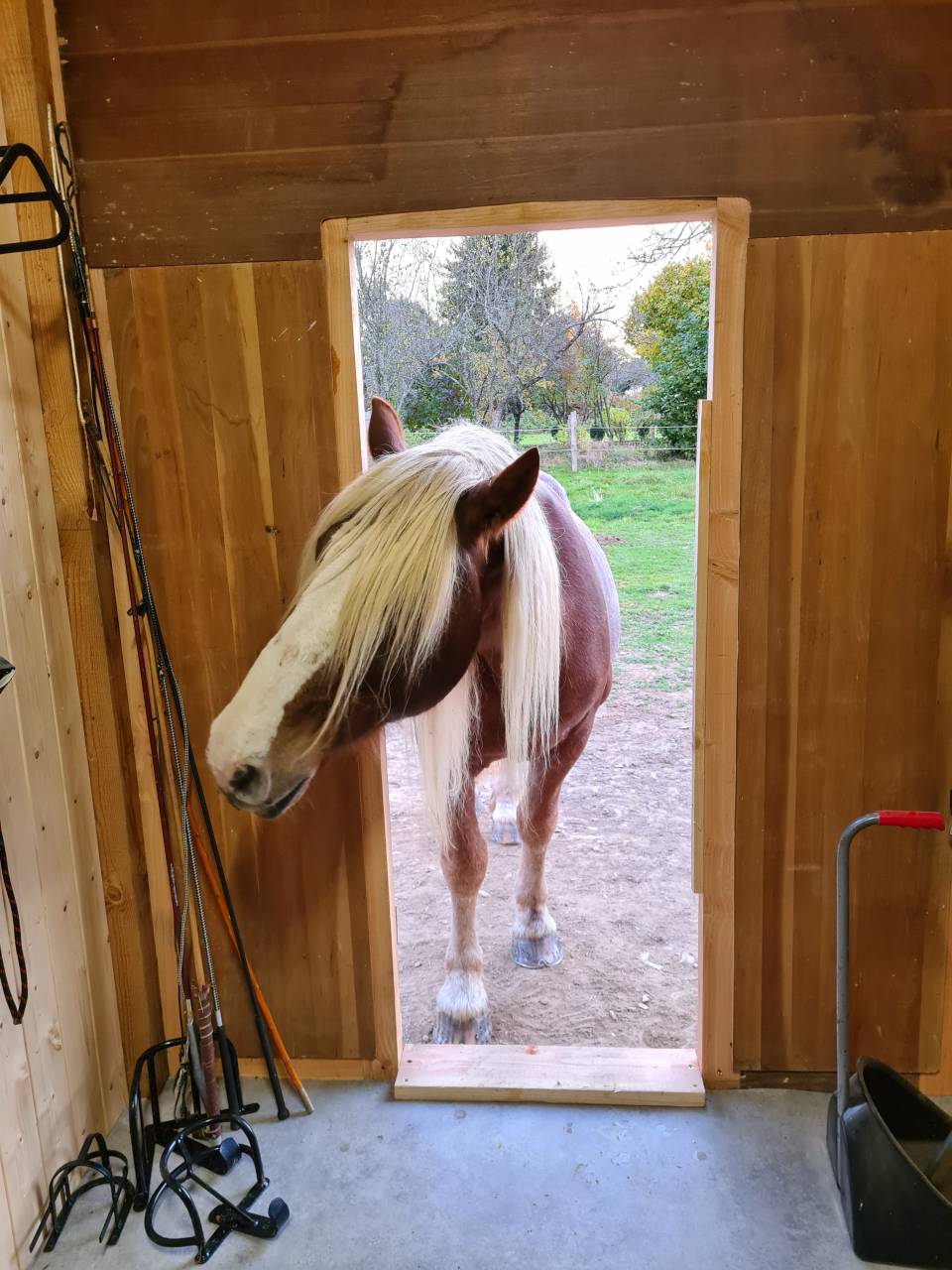 Luxurious equestrian property  Creuse