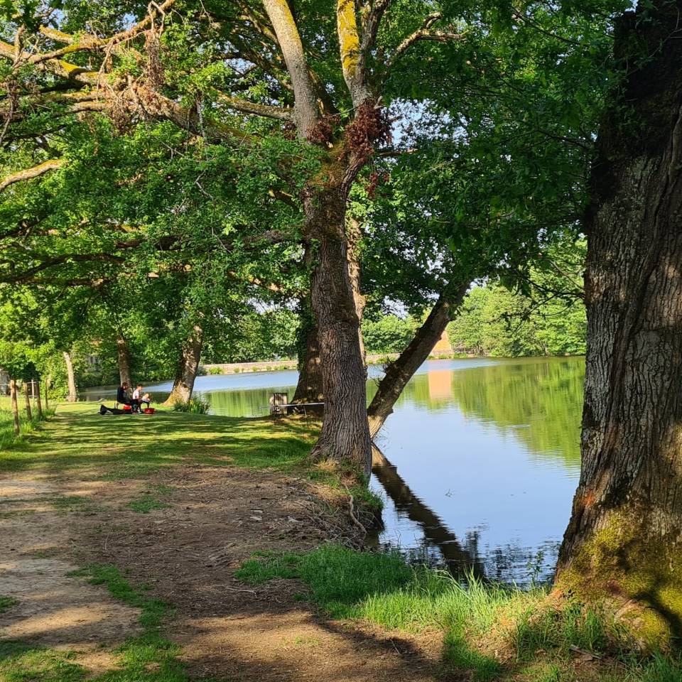 Luxurious equestrian property  Creuse