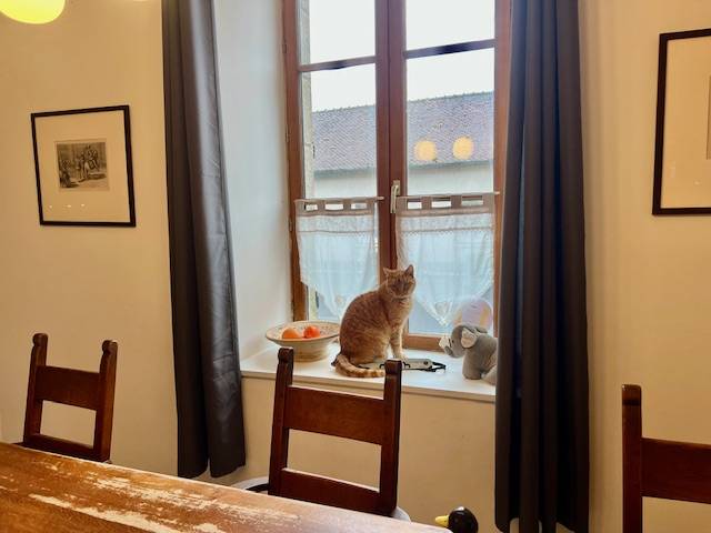 Luxurious equestrian property  Creuse