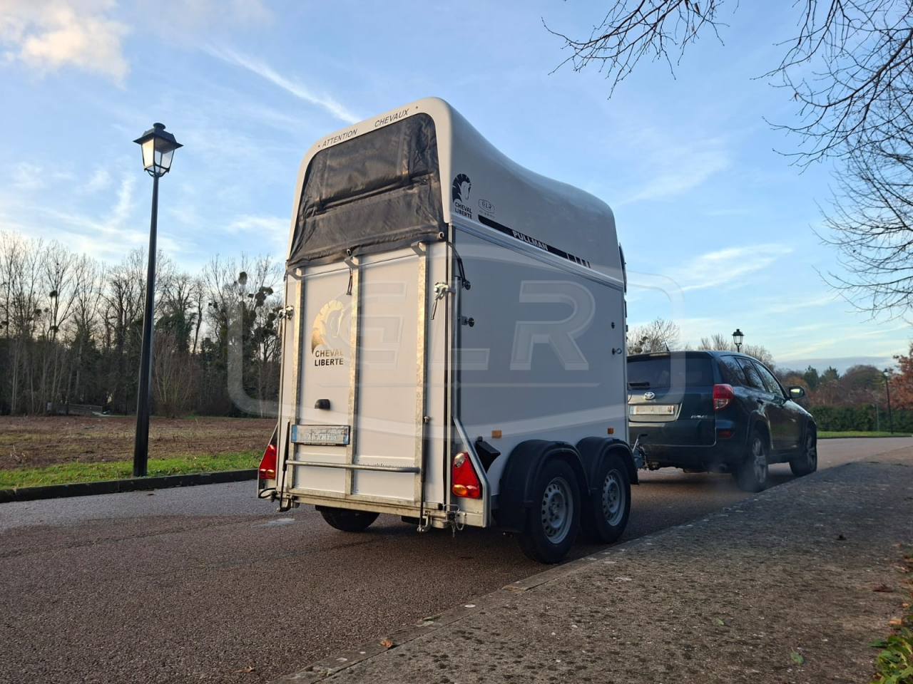 Horse trailer Cheval Liberte Gold One White Line 1,5 Stalls 2019 Used