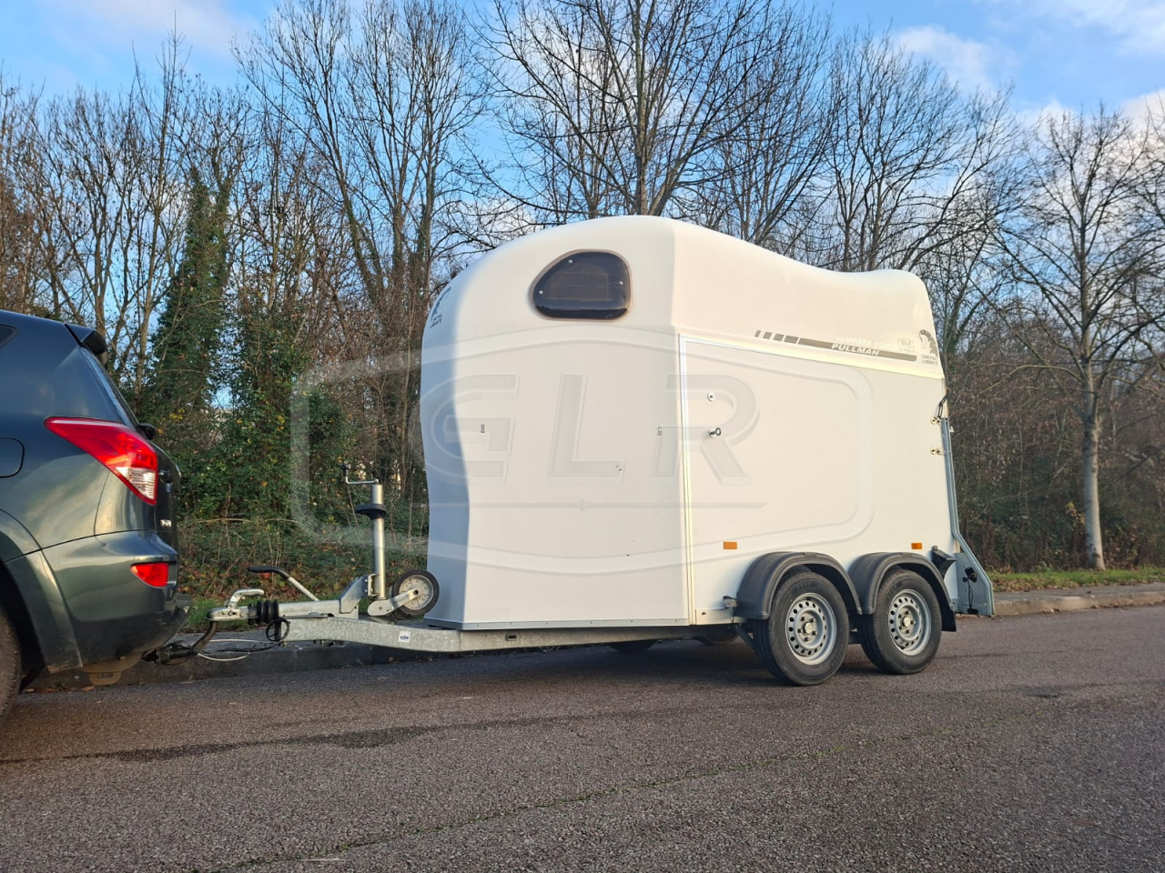 Horse trailer Cheval Liberte Gold One White Line 1,5 Stalls 2019 Used