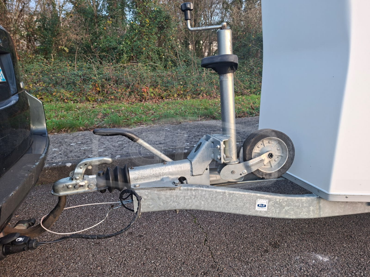 Horse trailer Cheval Liberte Gold One White Line 1,5 Stalls 2019 Used