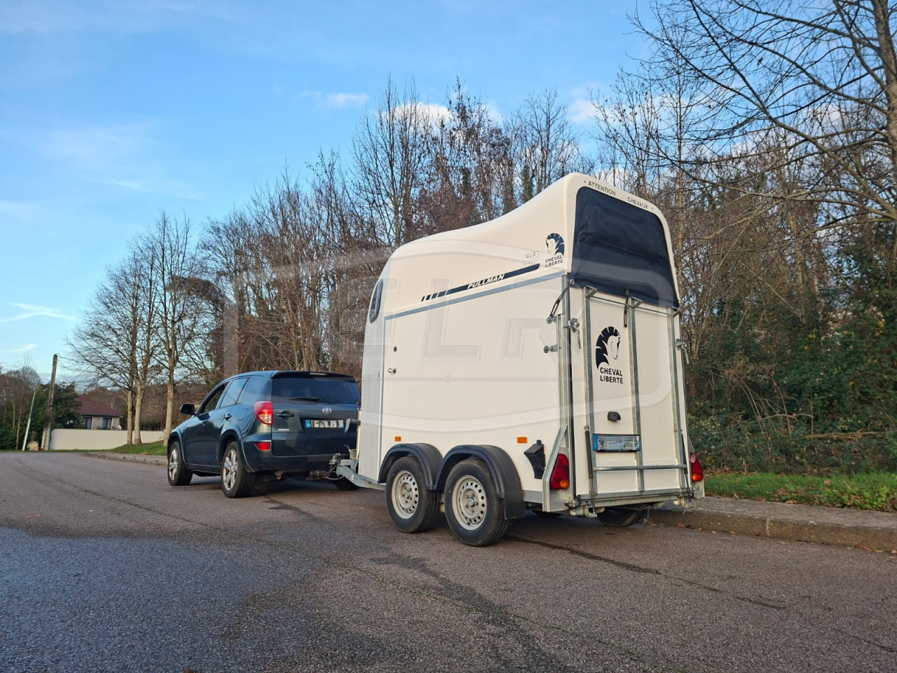 Horse trailer Cheval Liberte Gold One White Line 1,5 Stalls 2019 Used