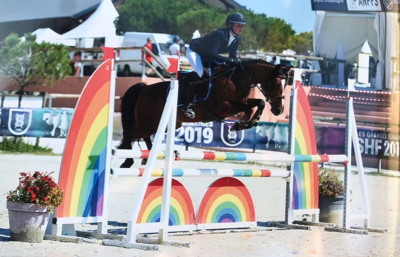 Mare Origin Recorded For sale 2013 Bay