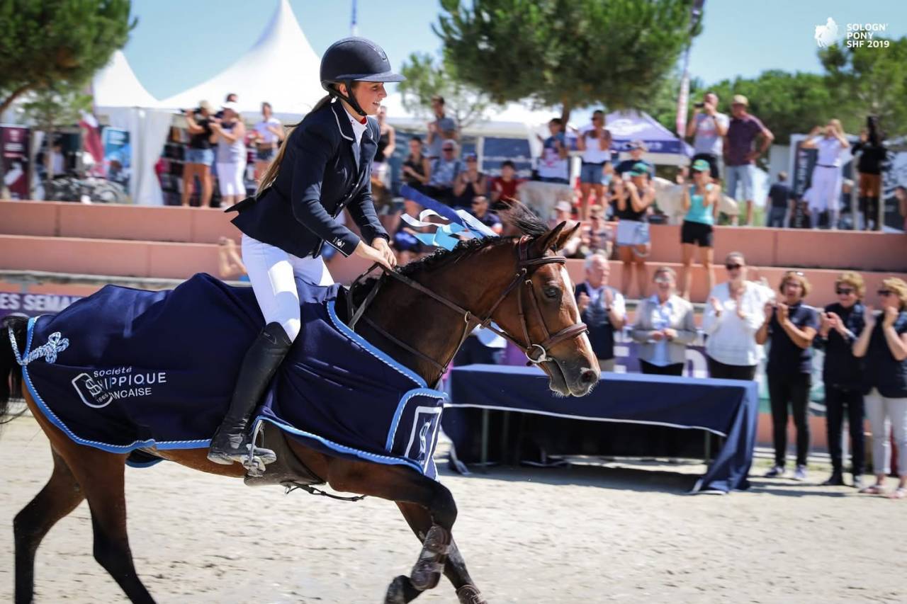 Mare Origin Recorded For sale 2013 Bay