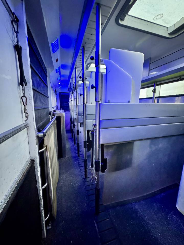 Horsebox NON-HGV Scania P380 2010 Used