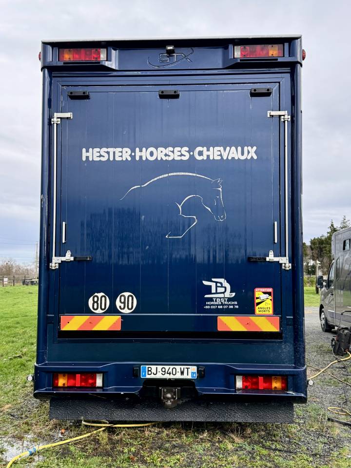 Horsebox NON-HGV Scania P380 2010 Used