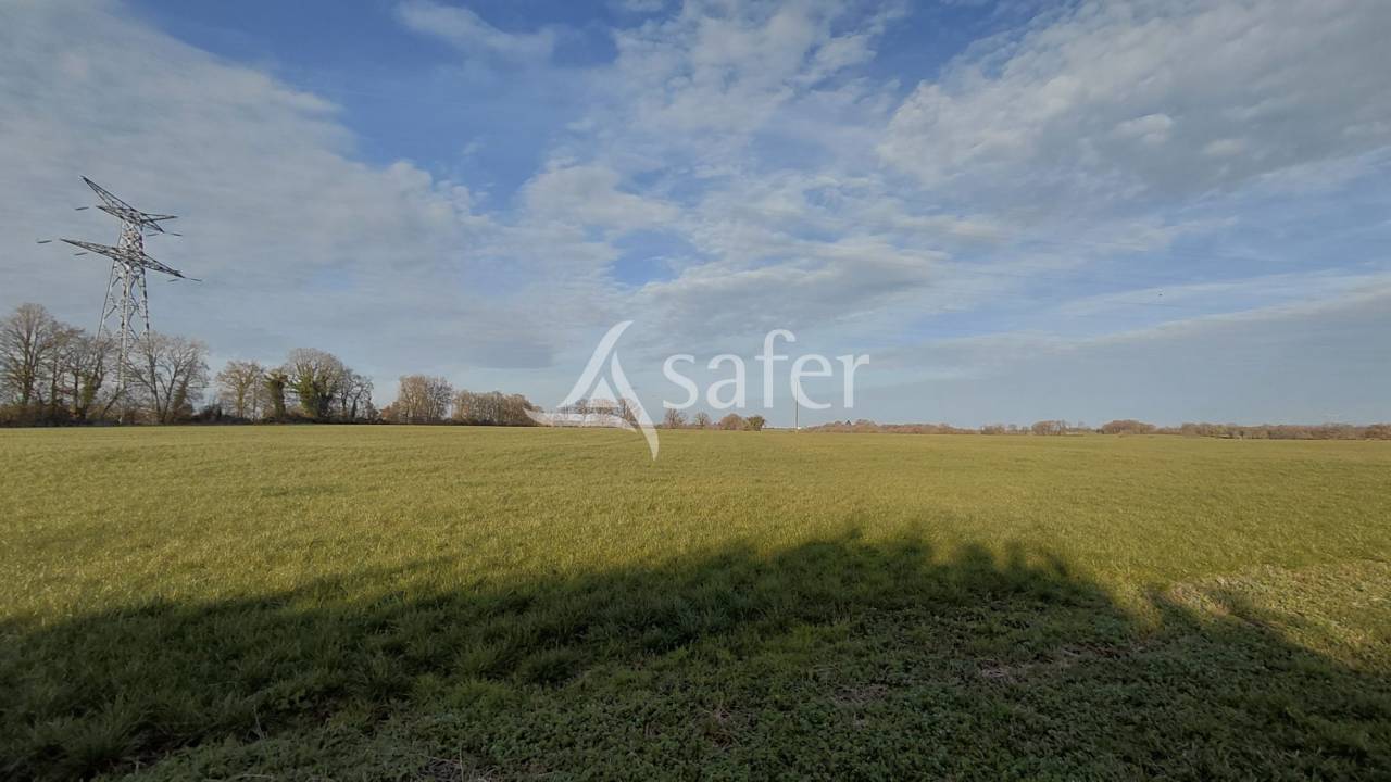 Other country property  Vienne