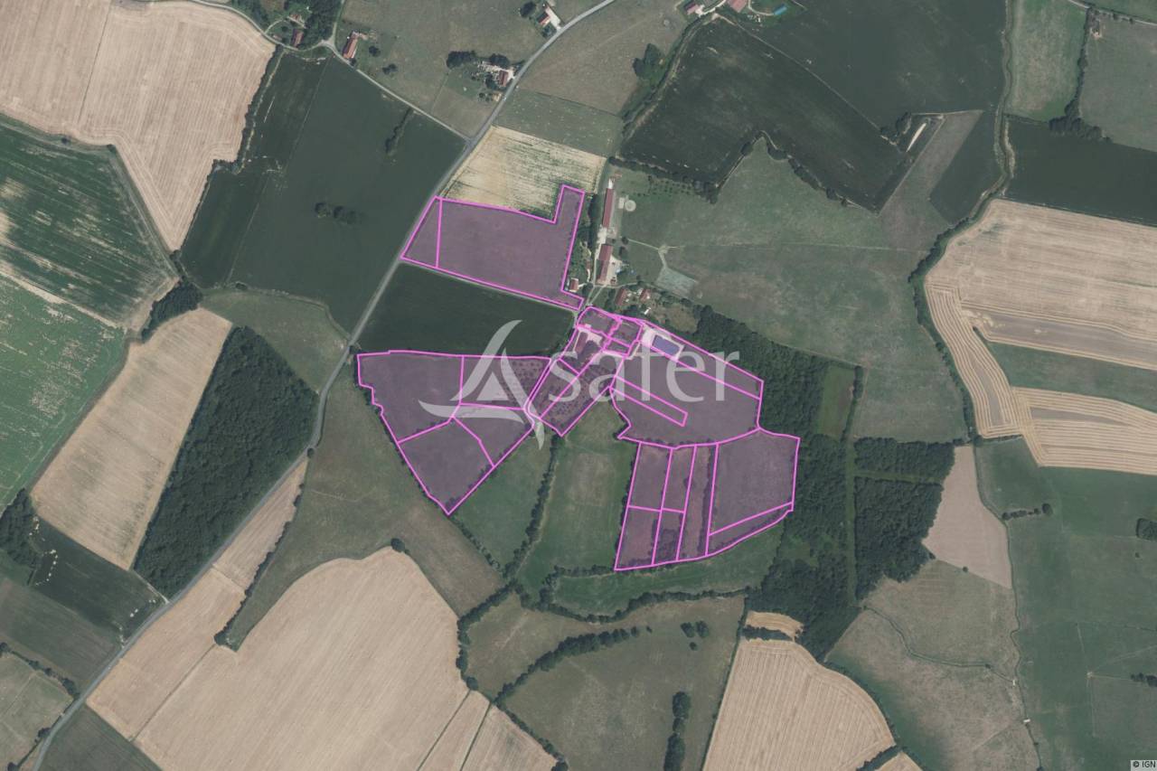 Other agricultural property  Jura