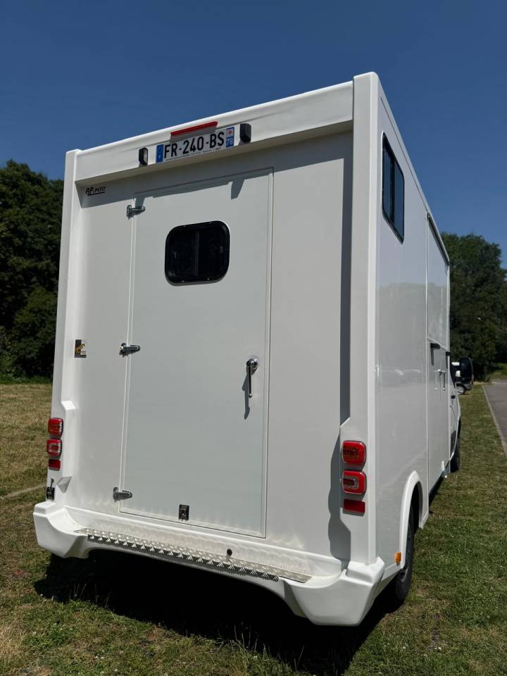 Horsebox HGV AP Petit Renault Master 2019 Used