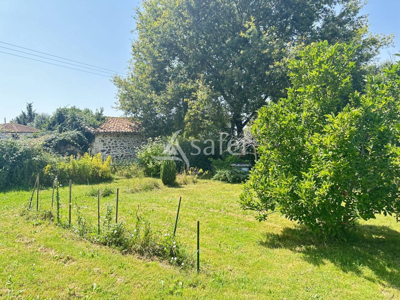 Other agricultural property  Charente