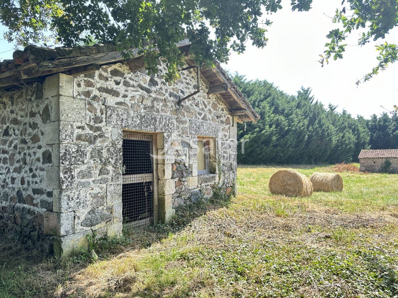Other agricultural property  Charente