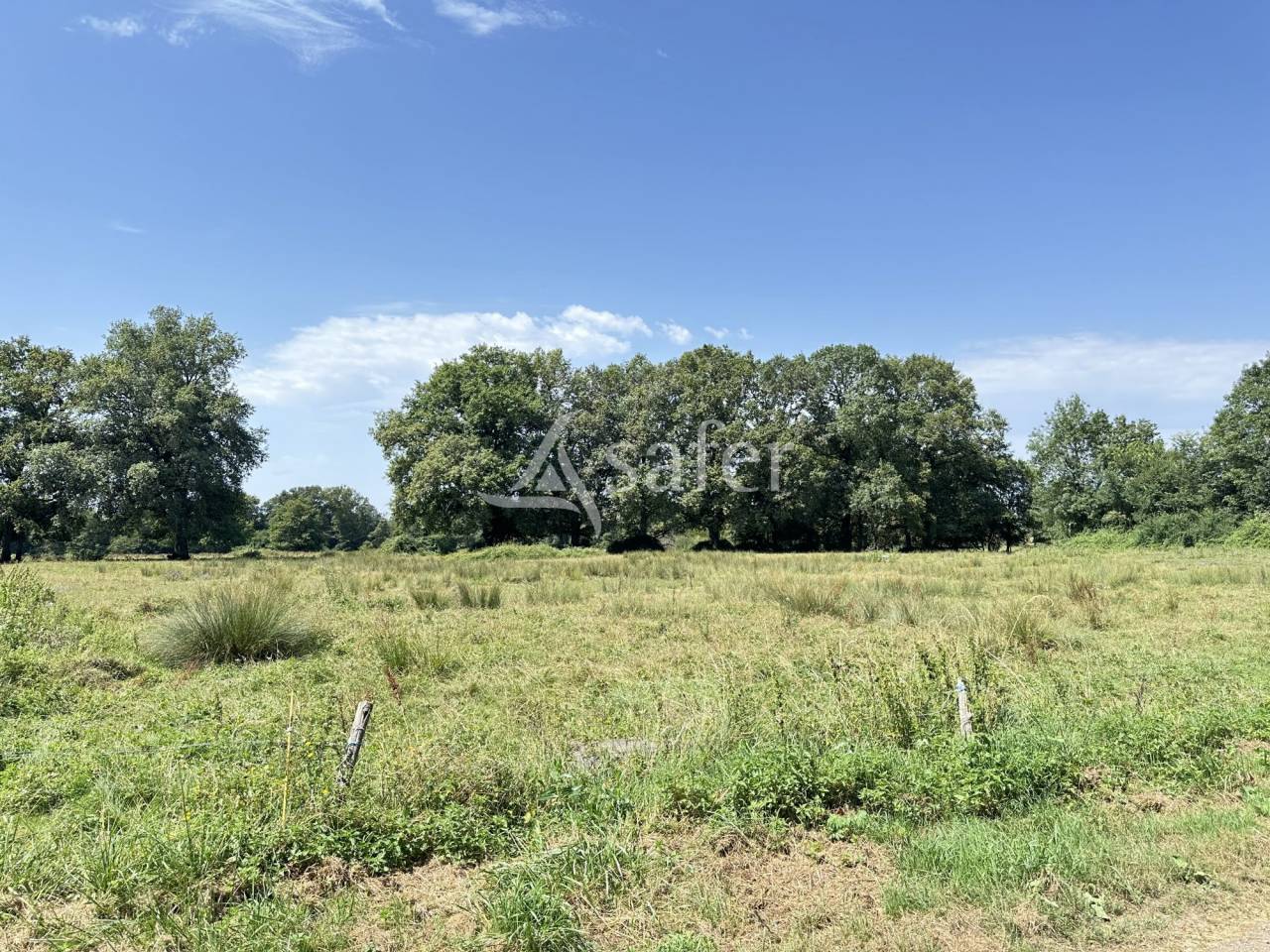 Other agricultural property  Charente