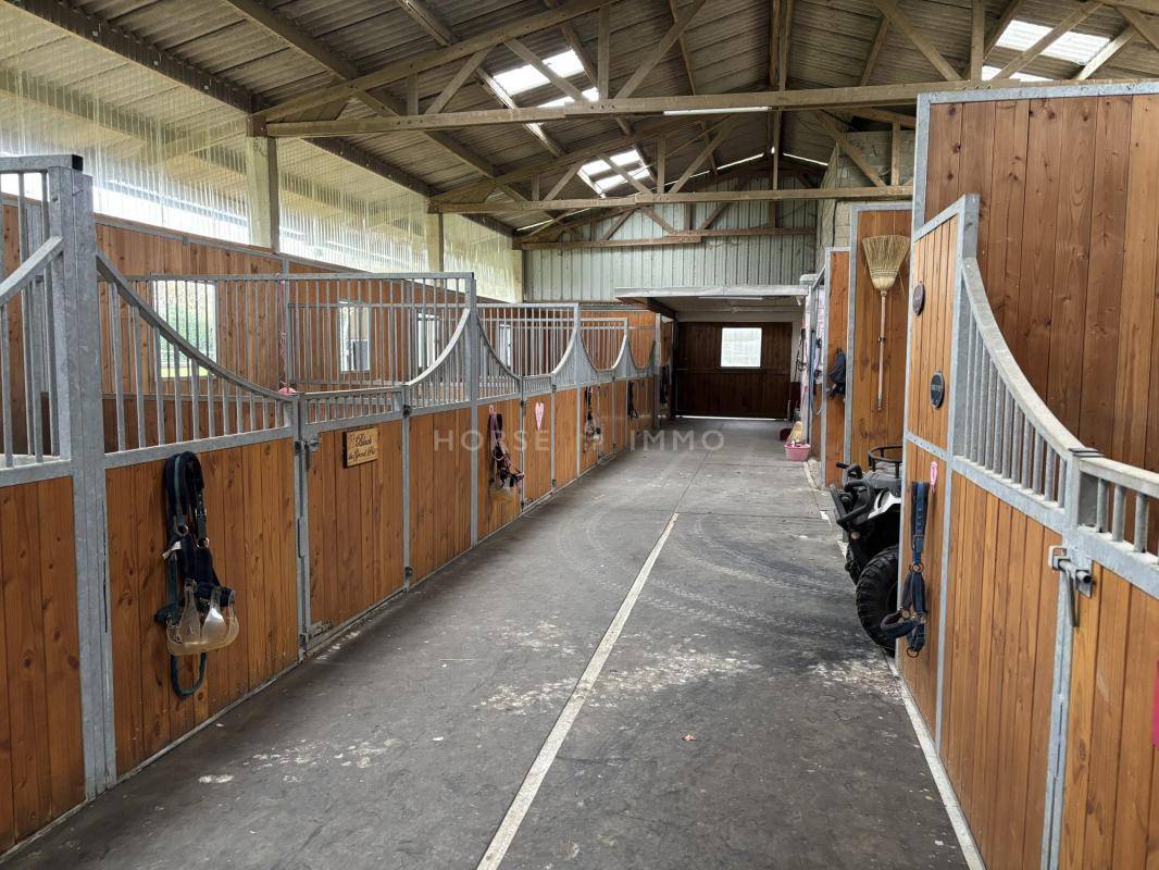 Equestrian property  Maine-et-Loire