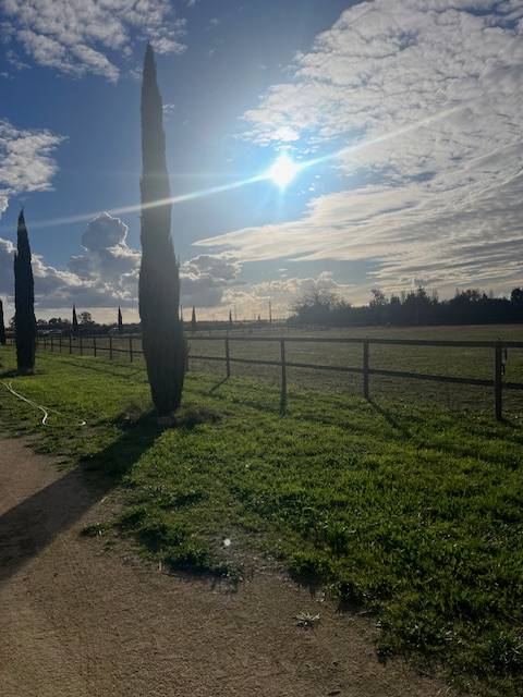 Equestrian property  Gard