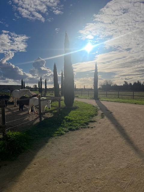 Equestrian property  Gard