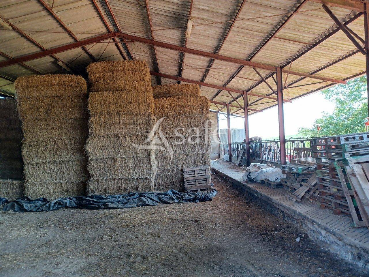 Other agricultural property  Vienne