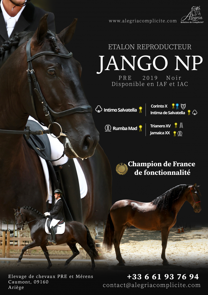 Jango NP - PRE Pure Spanish Bred 2019 by INTIMO SALVATELLA