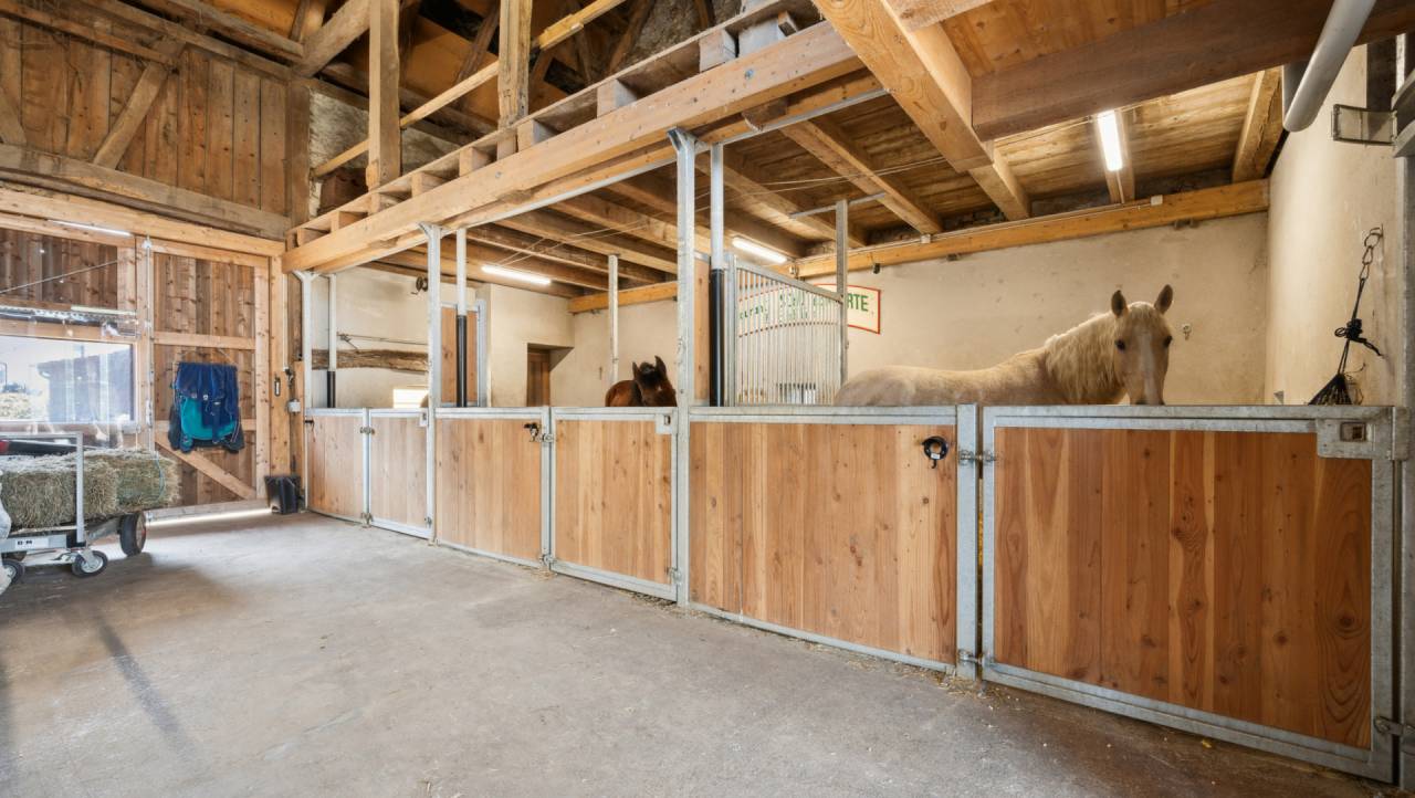 Equestrian property  Jura