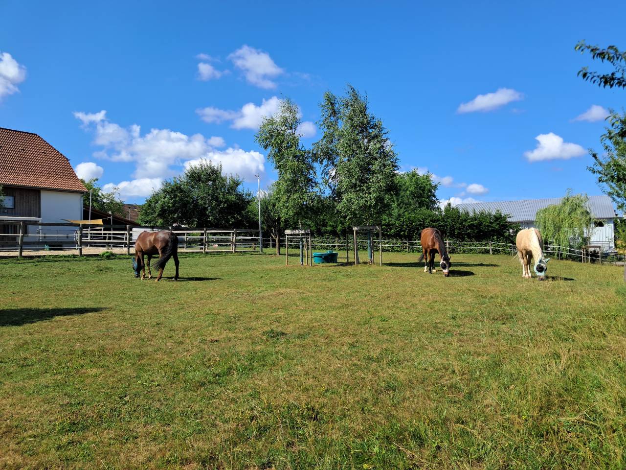 Equestrian property  Jura