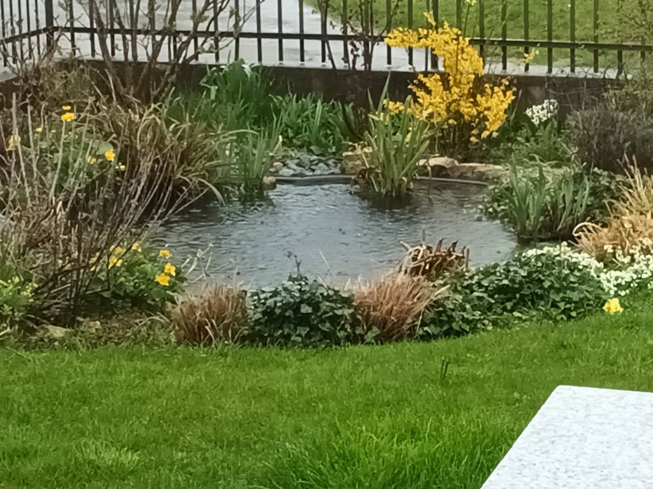 Equestrian property  Jura