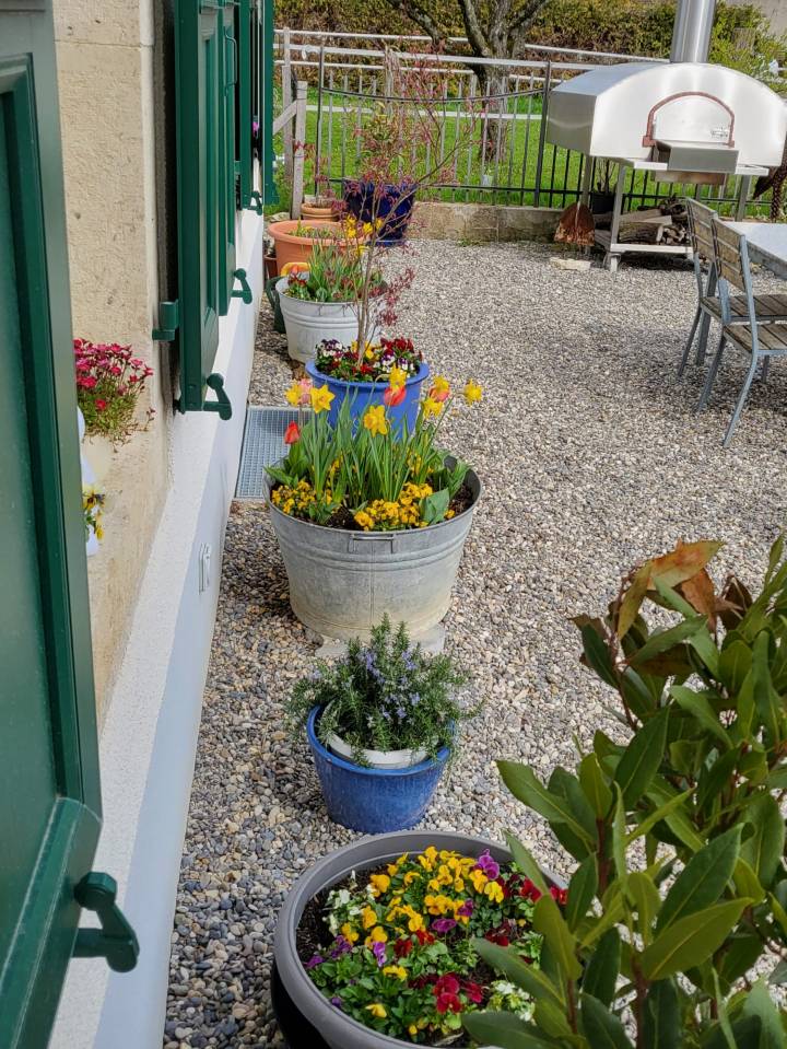 Equestrian property  Jura