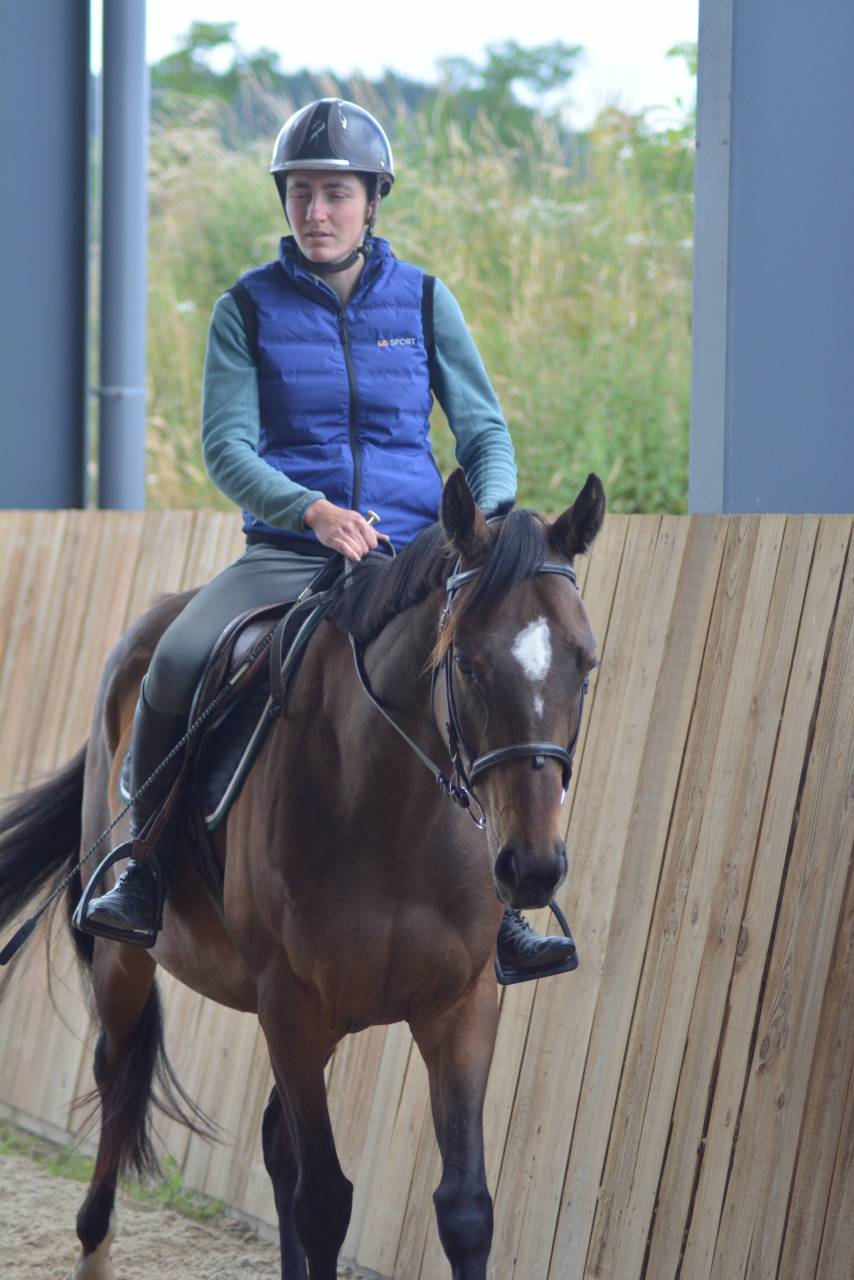 Mare English Thoroughbred For sale 2021 Dark Bay