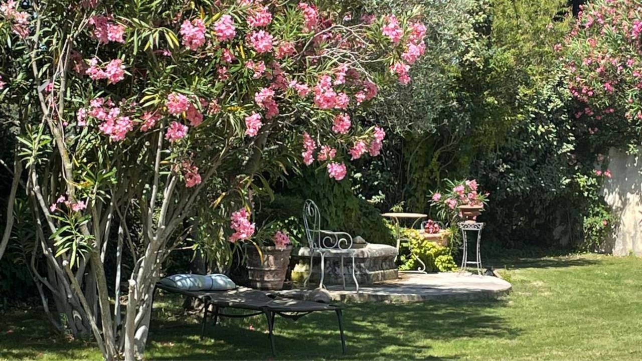 Equestrian property  Bouches-du-Rh&ocirc;ne