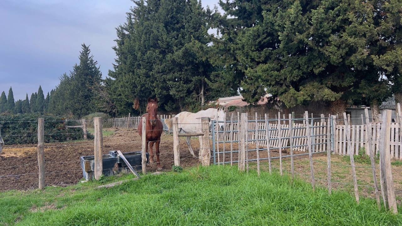 Equestrian property  Bouches-du-Rh&ocirc;ne