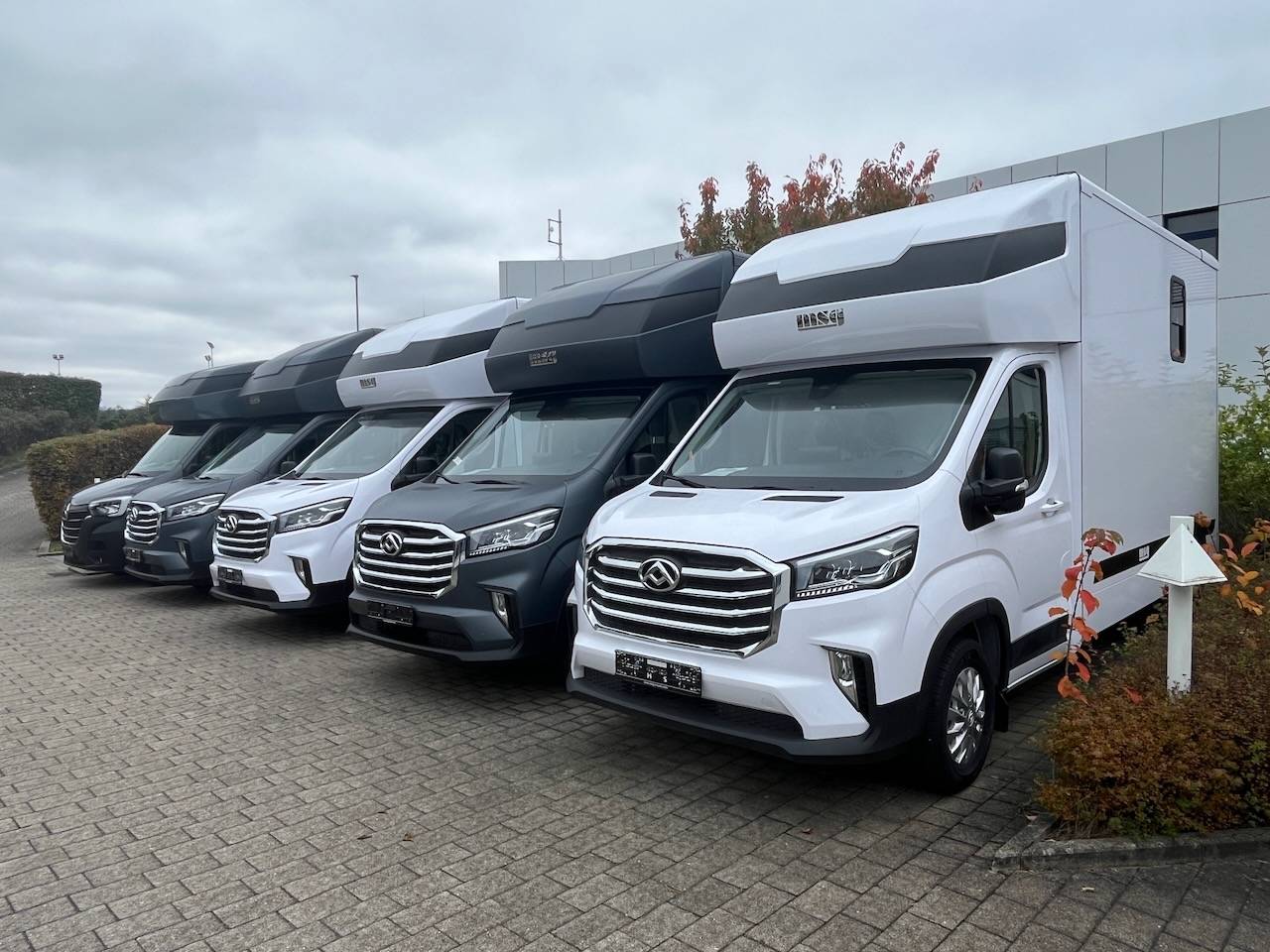 Horsebox HGV Autre marque MAXUS 0 New