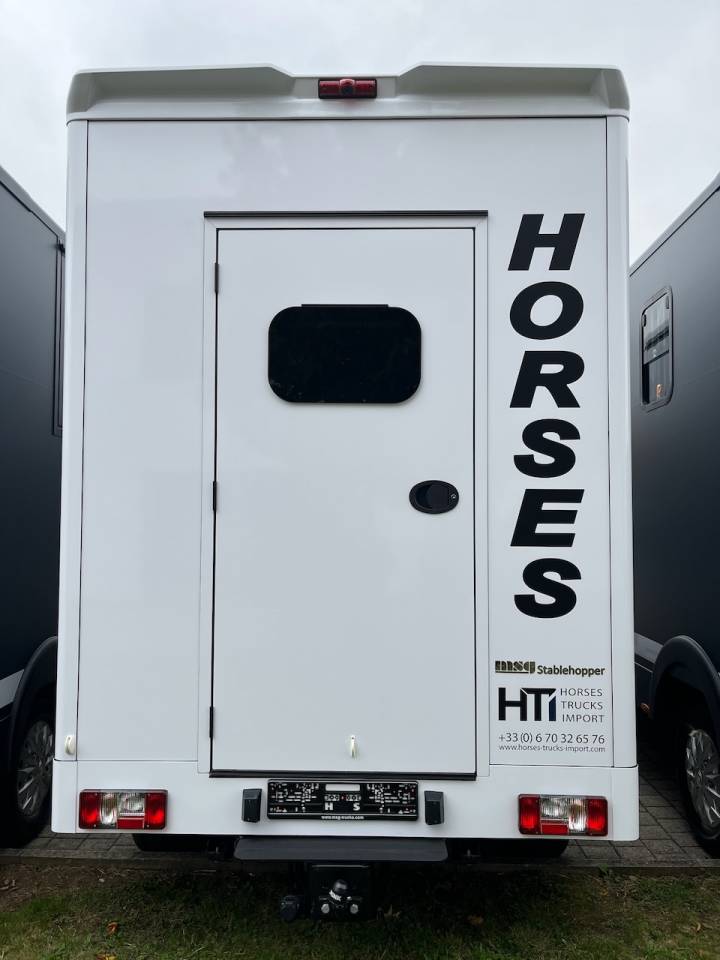 Horsebox HGV Autre marque MAXUS 0 New