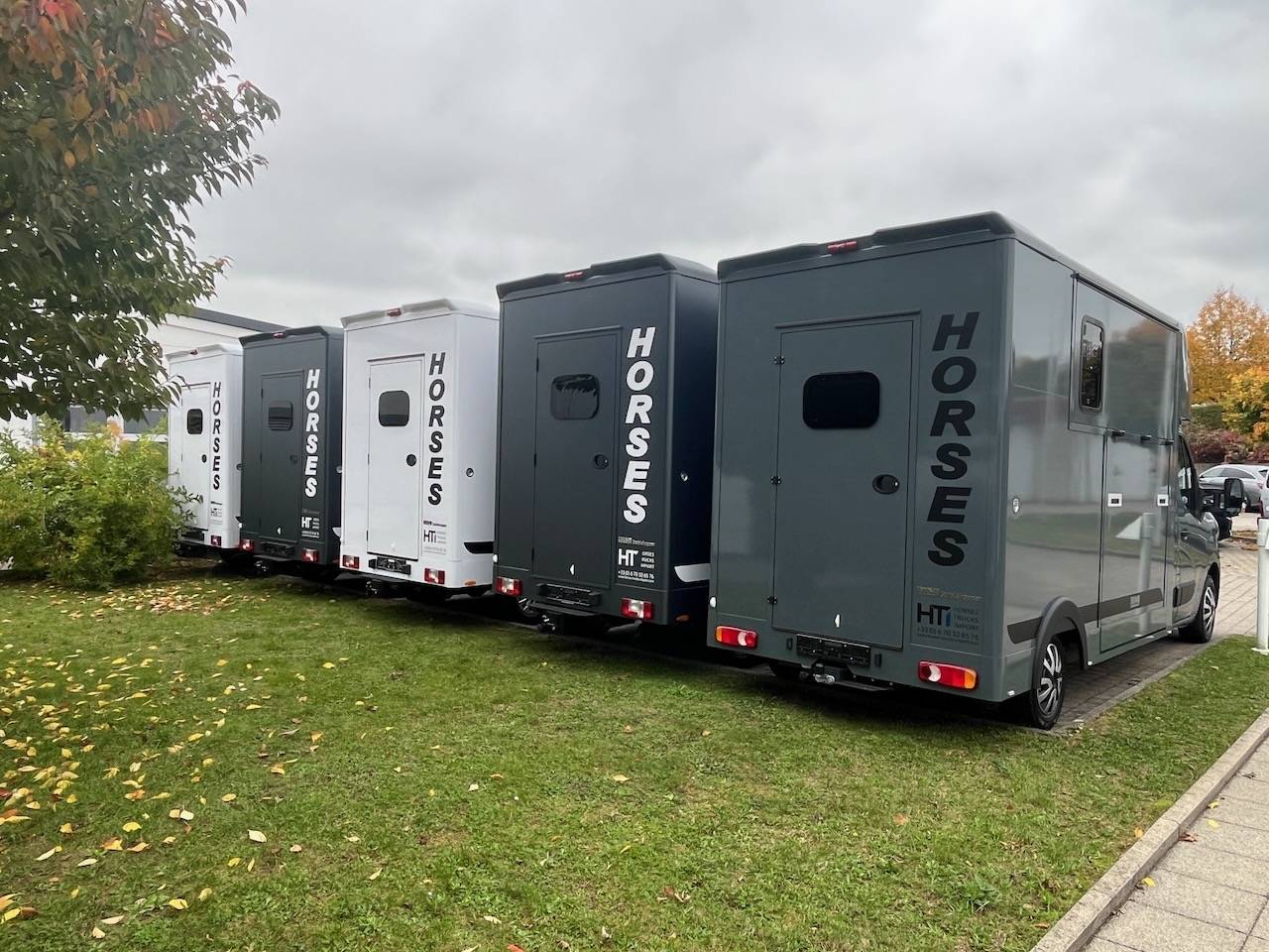 Horsebox HGV Autre marque MAXUS 0 New