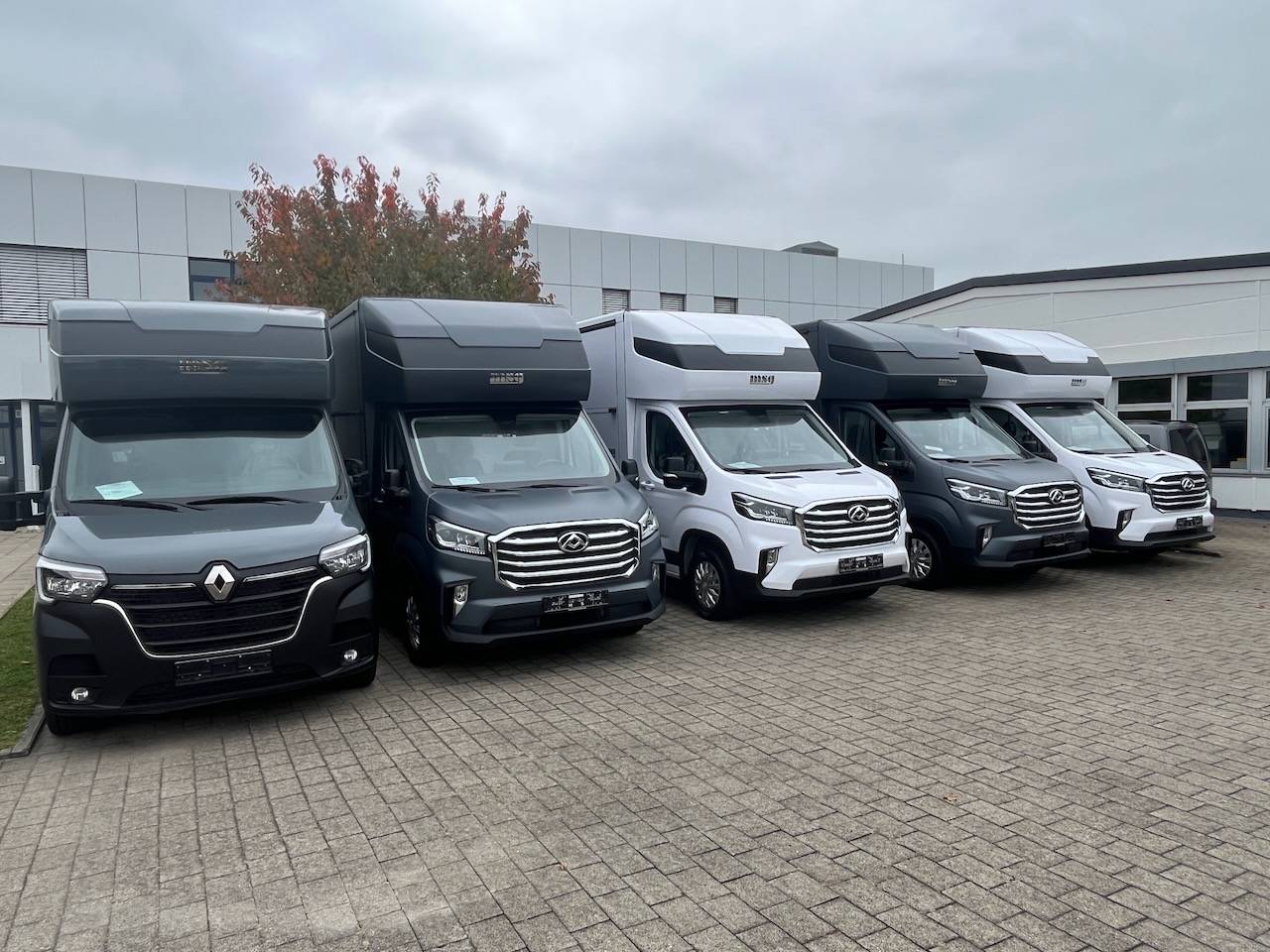 Horsebox HGV Autre marque MAXUS 0 New