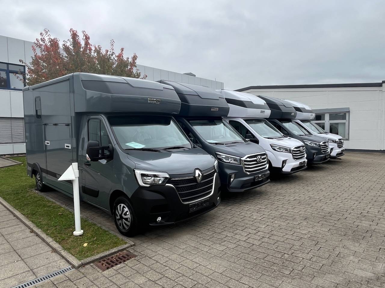 Horsebox HGV Autre marque MAXUS 0 New