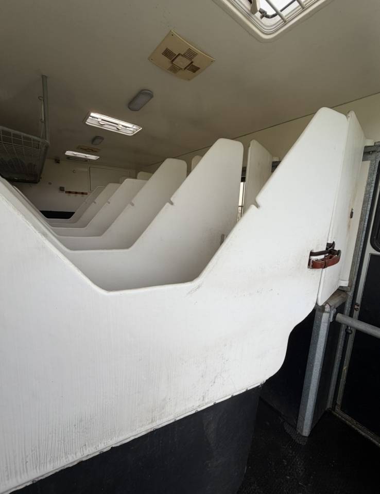 Horsebox NON-HGV Man 400 chx double essieu  2010 Used