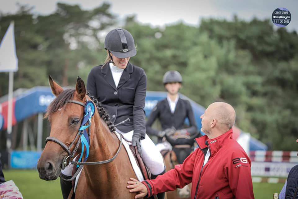 Mare Selle Fran&ccedil;ais For sale 2015 Bay