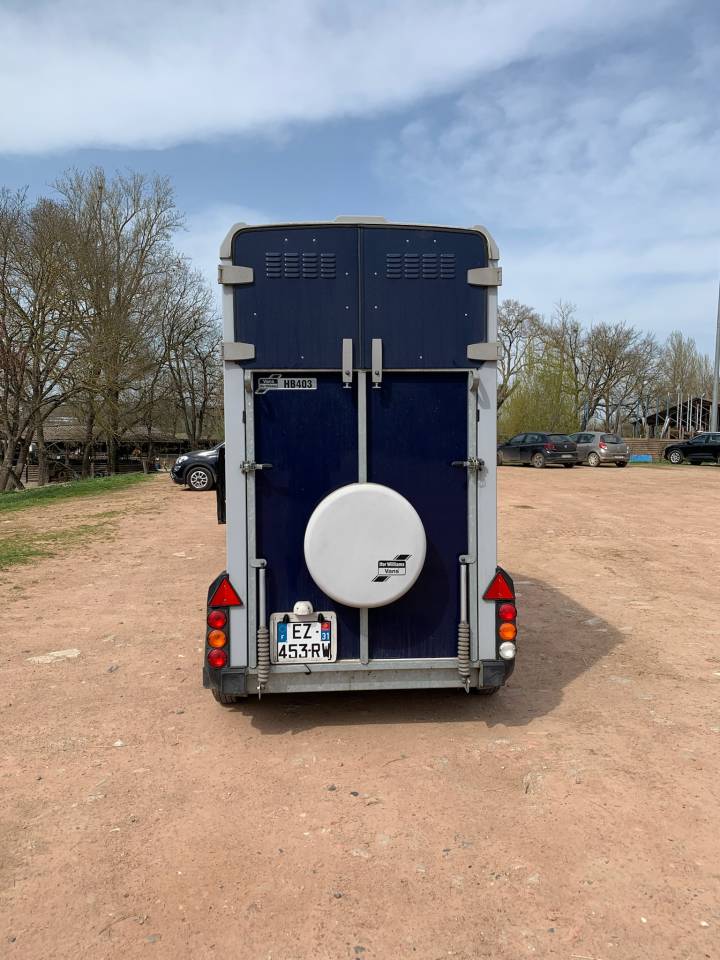 Horse trailer Ifor Williams HB403 1,5 Stalls 2018 Used